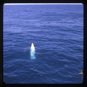 image13.jpg