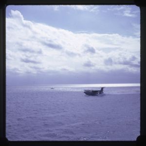 image7.jpg