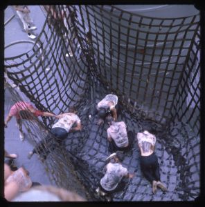 image76.jpg
